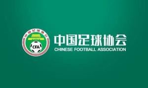 足协评议：里切利手臂无明显犯规动作，裁判取消点球判罚正确